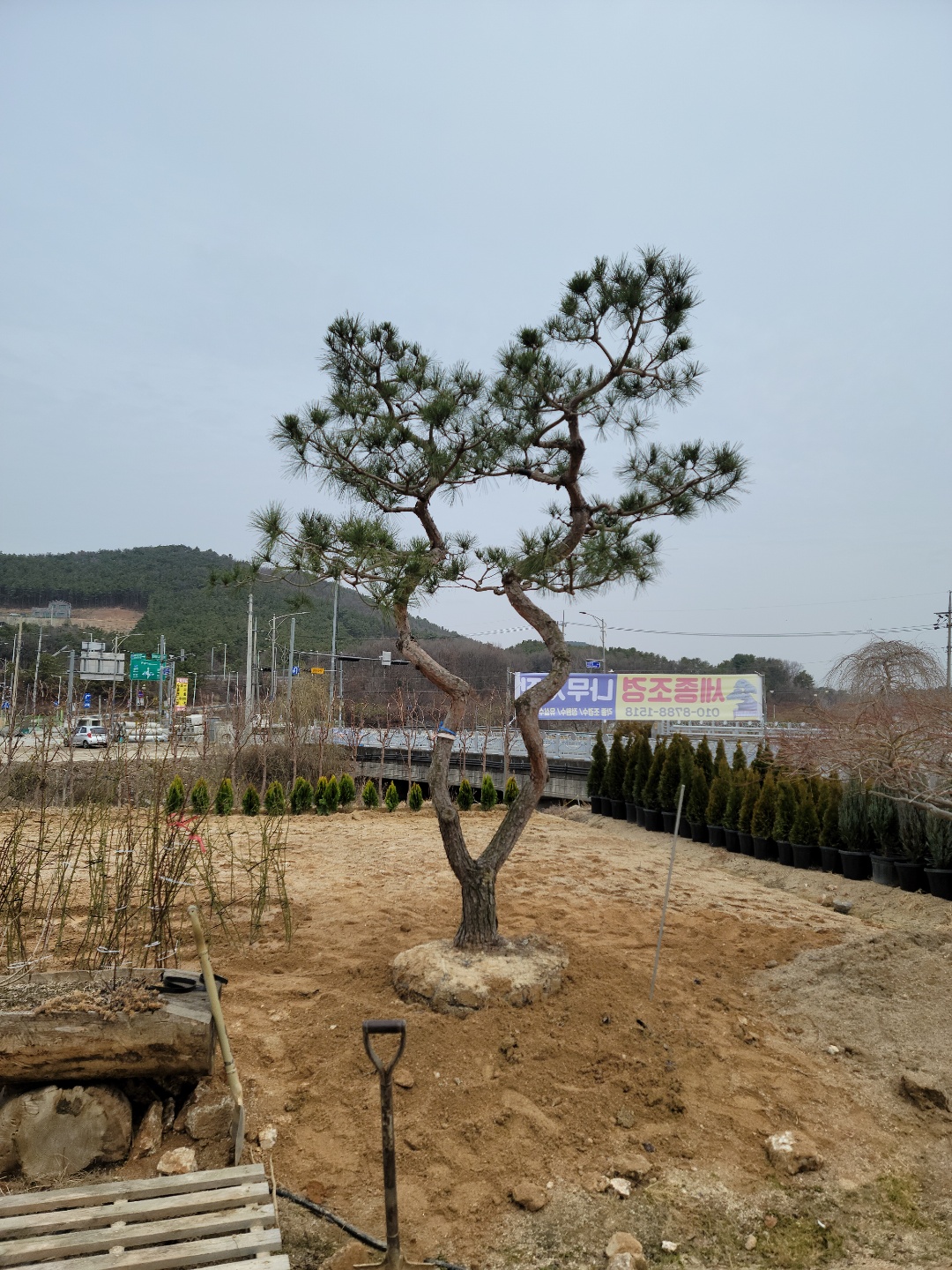 /user/0/01087881518/editor/2203/7bbb4ec2c3fdc3b8b3e78761e722da62_1647489112_6043.jpg 이미지크게보기