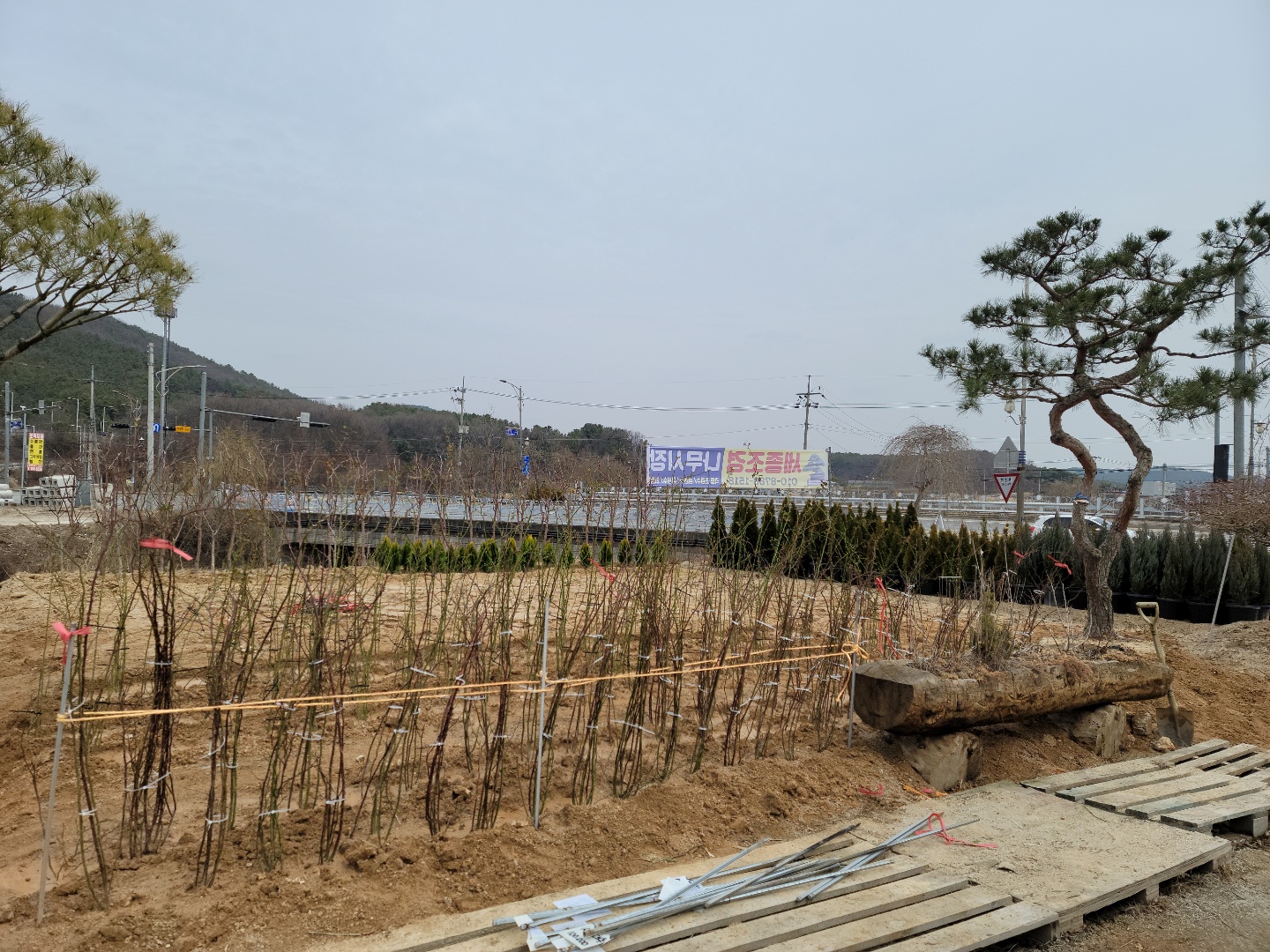 /user/0/01087881518/editor/2203/7bbb4ec2c3fdc3b8b3e78761e722da62_1647489123_0112.jpg 이미지크게보기