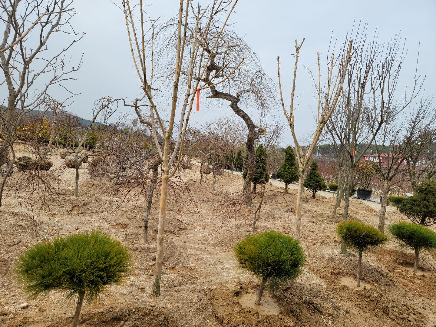 /user/0/01087881518/editor/2203/7bbb4ec2c3fdc3b8b3e78761e722da62_1647489135_4921.jpg 이미지크게보기