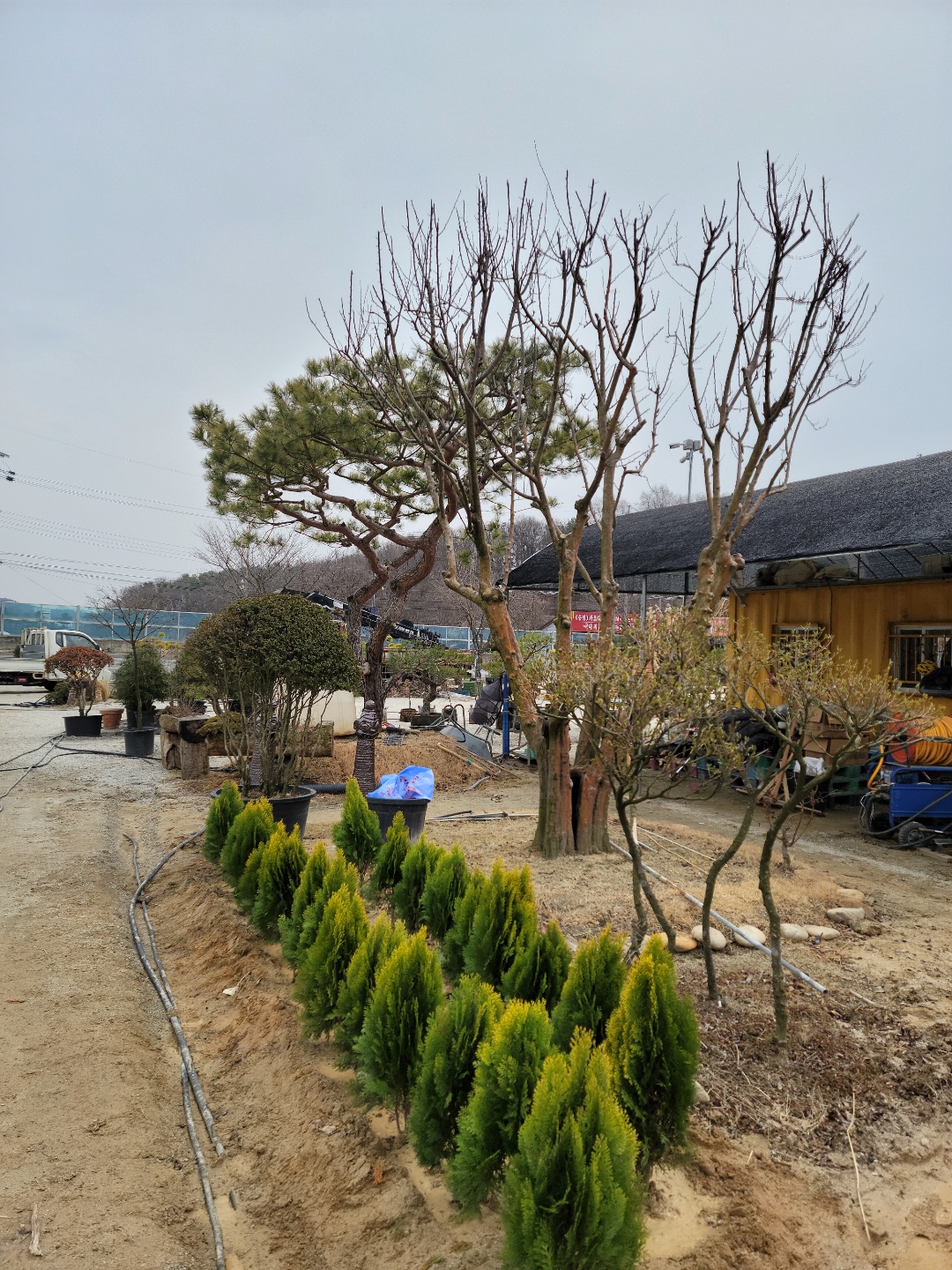 /user/0/01087881518/editor/2203/7bbb4ec2c3fdc3b8b3e78761e722da62_1647489149_7126.jpg 이미지크게보기