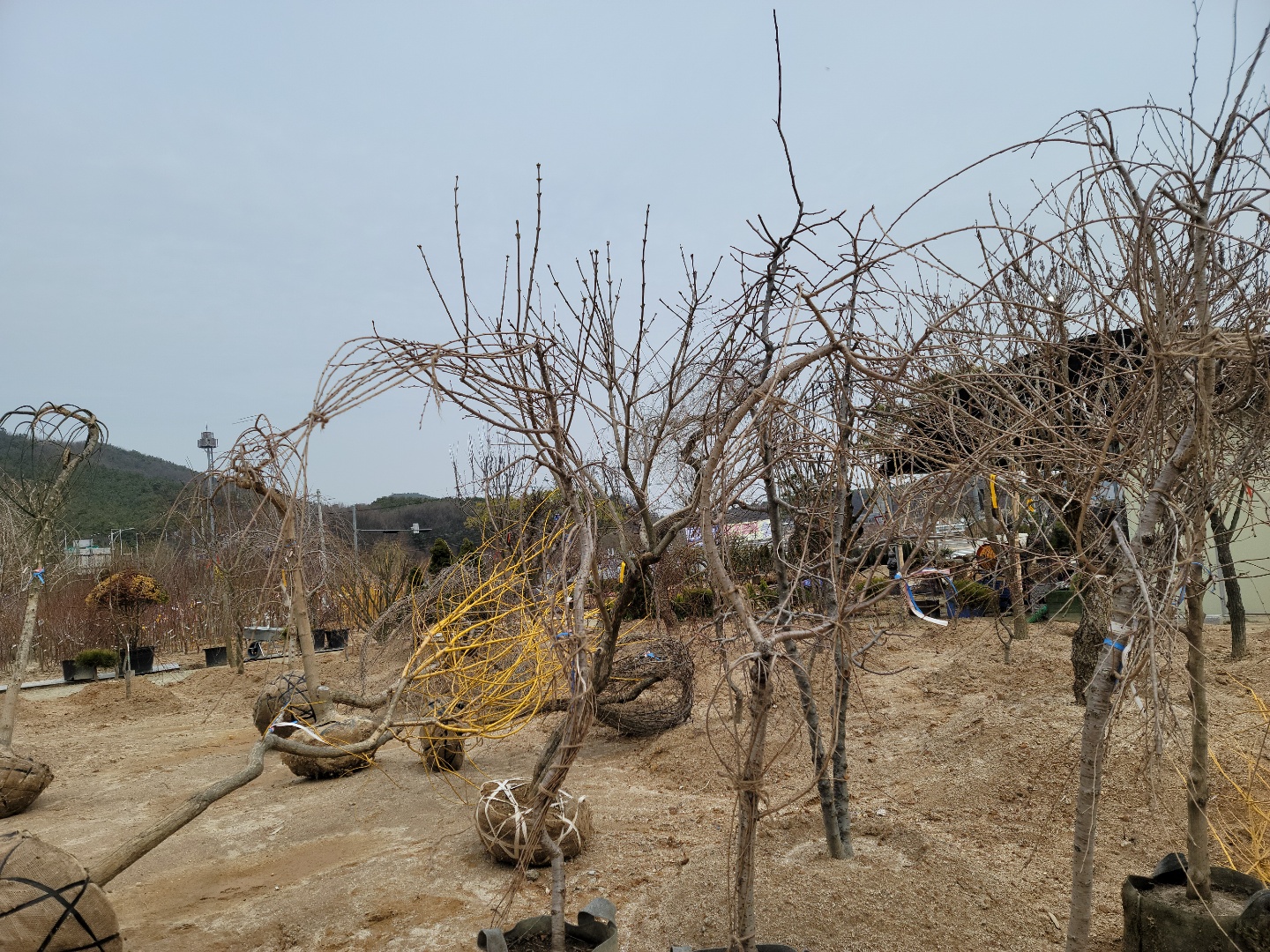 /user/0/01087881518/editor/2203/7bbb4ec2c3fdc3b8b3e78761e722da62_1647489190_2434.jpg 이미지크게보기