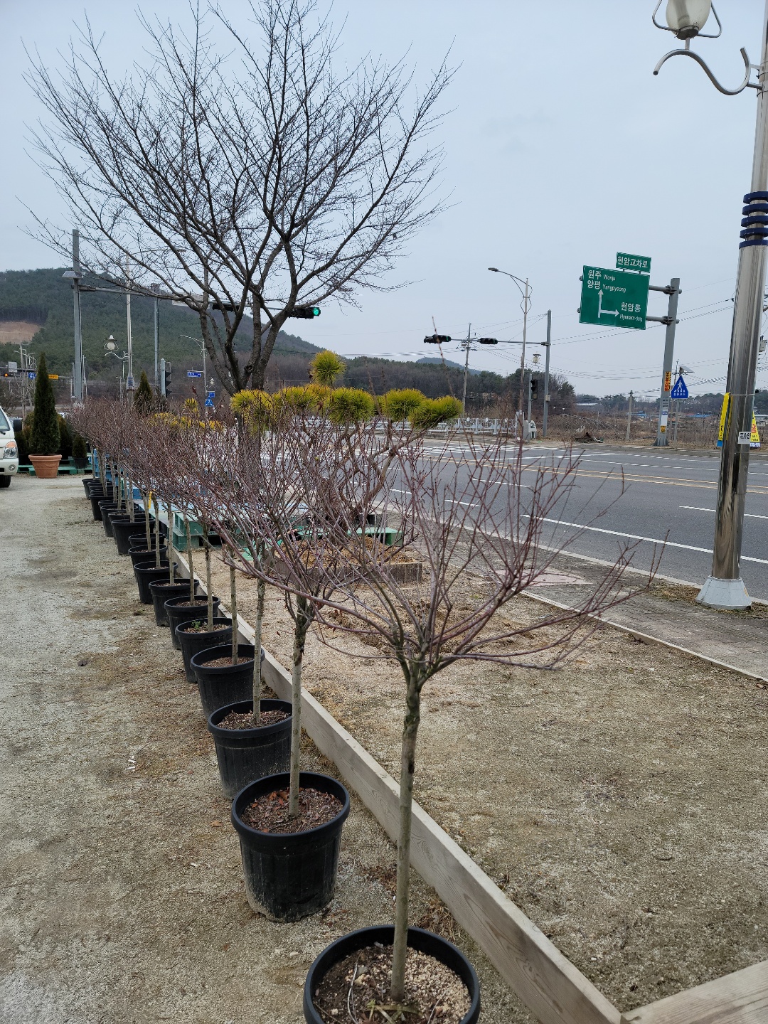 /user/0/01087881518/editor/2203/7bbb4ec2c3fdc3b8b3e78761e722da62_1647489221_104.jpg 이미지크게보기