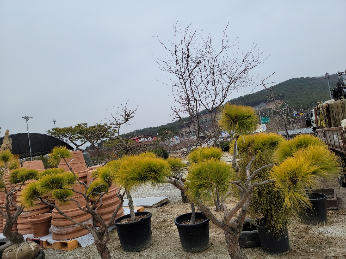 /user/0/01087881518/editor/2203/7bbb4ec2c3fdc3b8b3e78761e722da62_1647489234_7005.jpg 이미지크게보기