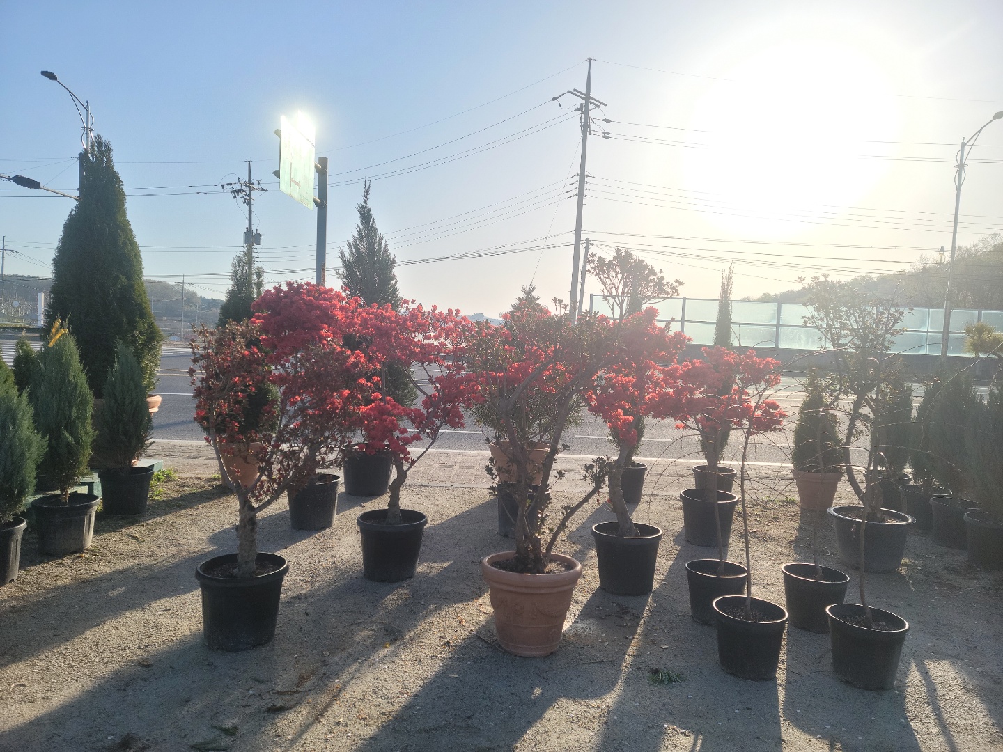 /user/0/01087881518/editor/2204/cba90b4ffc9ef750f7726b4bd66c0838_1650254923_3093.jpg 이미지크게보기