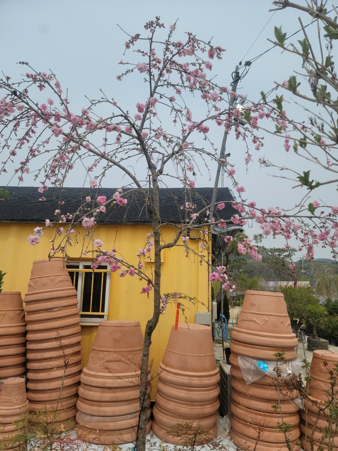 /user/0/01087881518/editor/2204/cba90b4ffc9ef750f7726b4bd66c0838_1650254955_6072.jpg 이미지크게보기