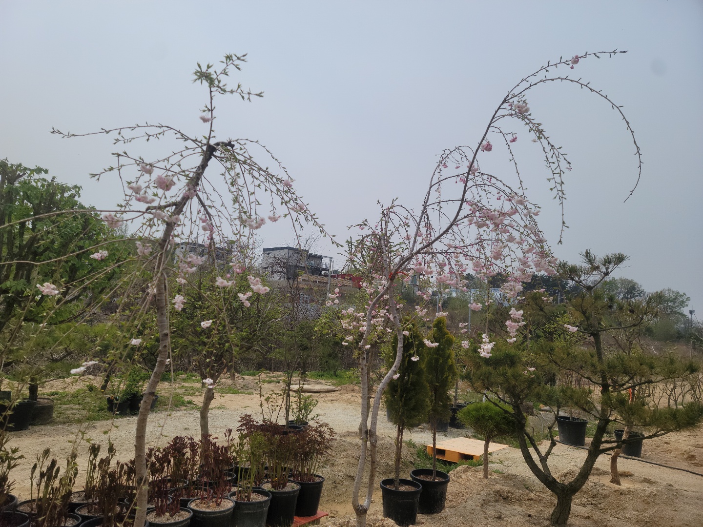 /user/0/01087881518/editor/2204/cba90b4ffc9ef750f7726b4bd66c0838_1650255199_6658.jpg 이미지크게보기