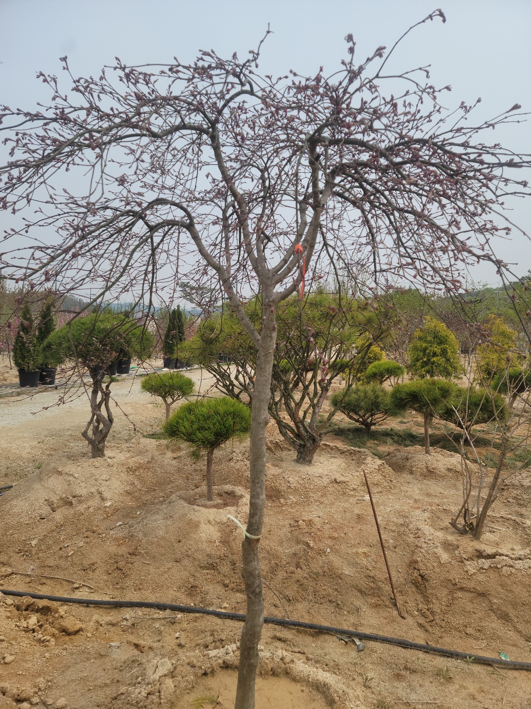 /user/0/01087881518/editor/2204/cba90b4ffc9ef750f7726b4bd66c0838_1650255312_9543.jpg 이미지크게보기