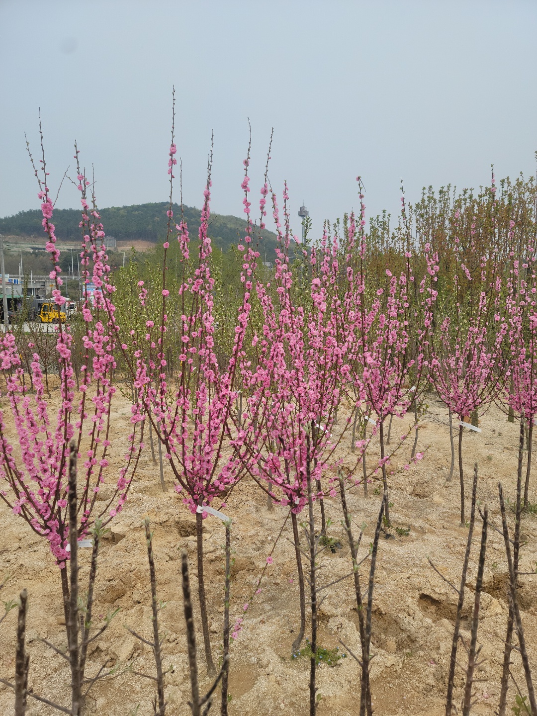 /user/0/01087881518/editor/2204/cba90b4ffc9ef750f7726b4bd66c0838_1650255544_6969.jpg 이미지크게보기