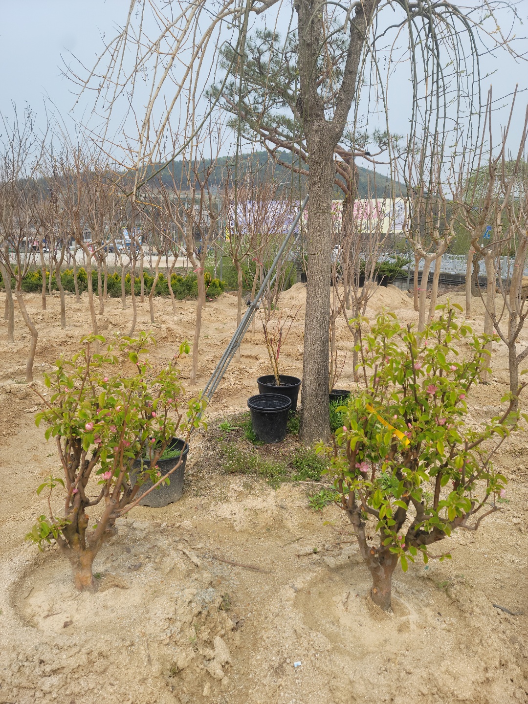 /user/0/01087881518/editor/2204/cba90b4ffc9ef750f7726b4bd66c0838_1650255638_0333.jpg 이미지크게보기