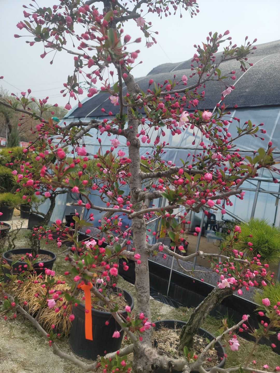 /user/0/01087881518/editor/2204/cba90b4ffc9ef750f7726b4bd66c0838_1650255776_9345.jpg 이미지크게보기