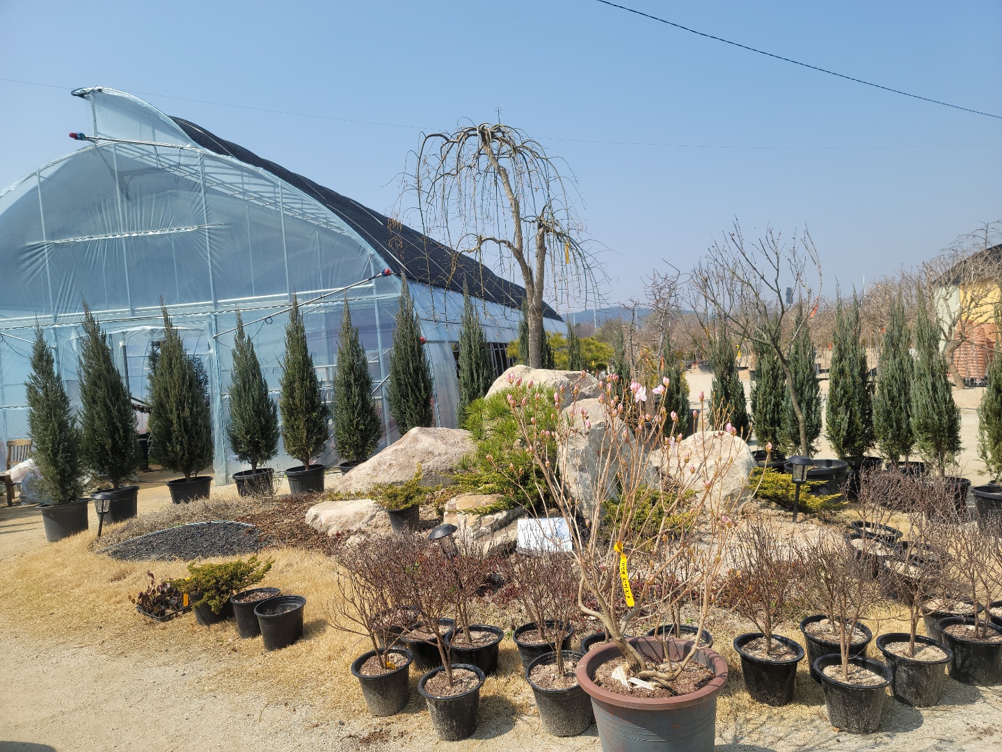 /user/0/01087881518/editor/2204/cba90b4ffc9ef750f7726b4bd66c0838_1650255802_3248.jpg 이미지크게보기