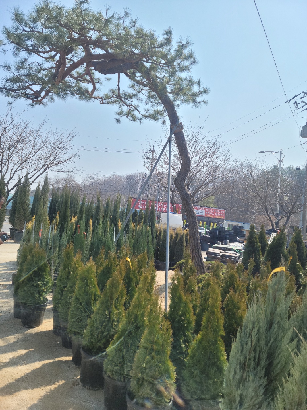 /user/0/01087881518/editor/2204/cba90b4ffc9ef750f7726b4bd66c0838_1650255820_1594.jpg 이미지크게보기
