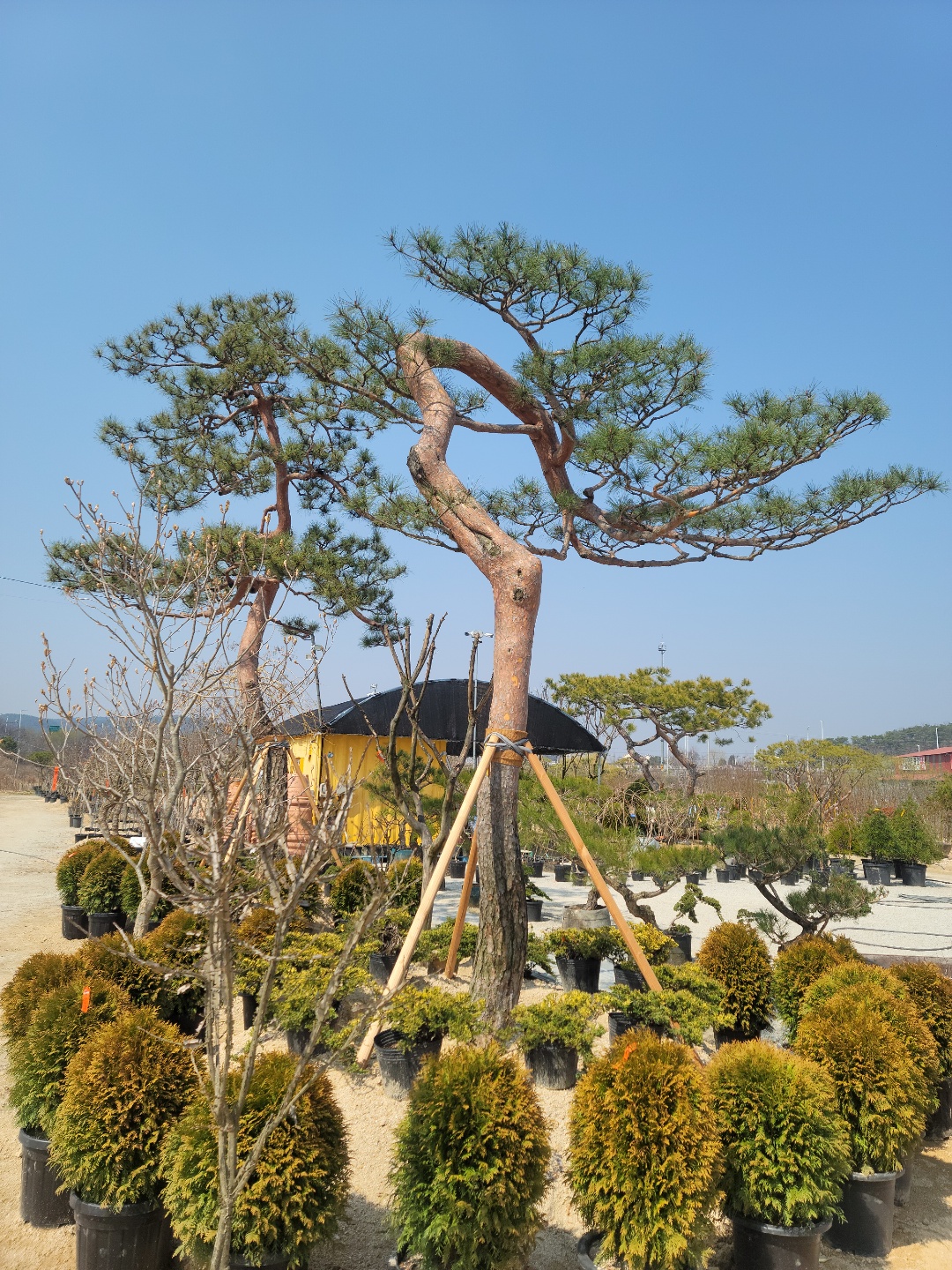 /user/0/01087881518/editor/2204/cba90b4ffc9ef750f7726b4bd66c0838_1650255843_54.jpg 이미지크게보기