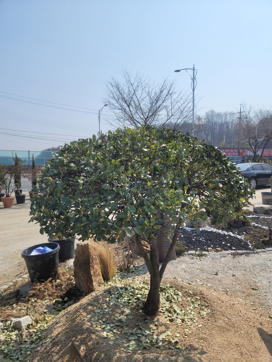 /user/0/01087881518/editor/2204/cba90b4ffc9ef750f7726b4bd66c0838_1650255860_3827.jpg 이미지크게보기