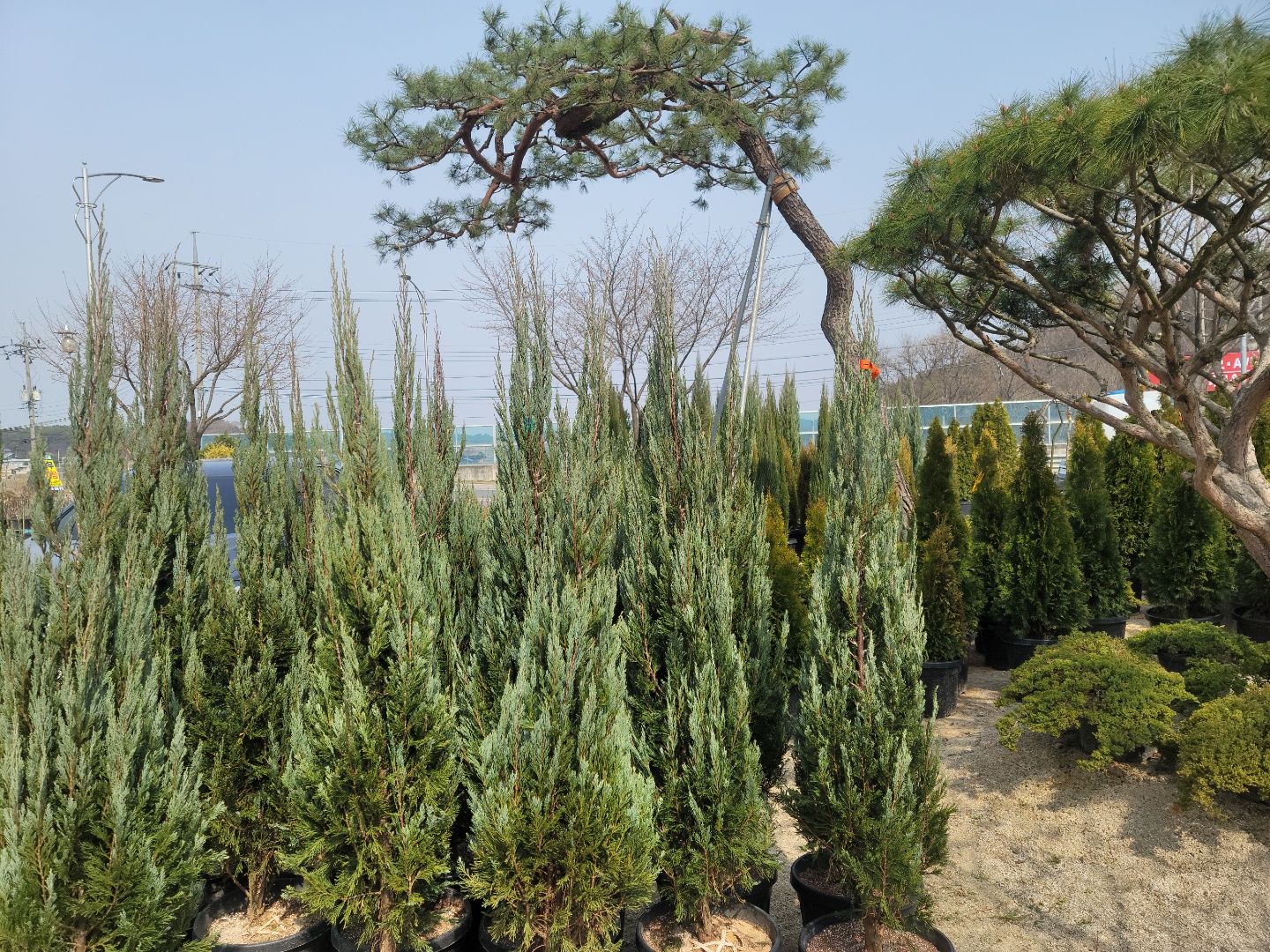 /user/0/01087881518/editor/2204/cba90b4ffc9ef750f7726b4bd66c0838_1650255899_0262.jpg 이미지크게보기
