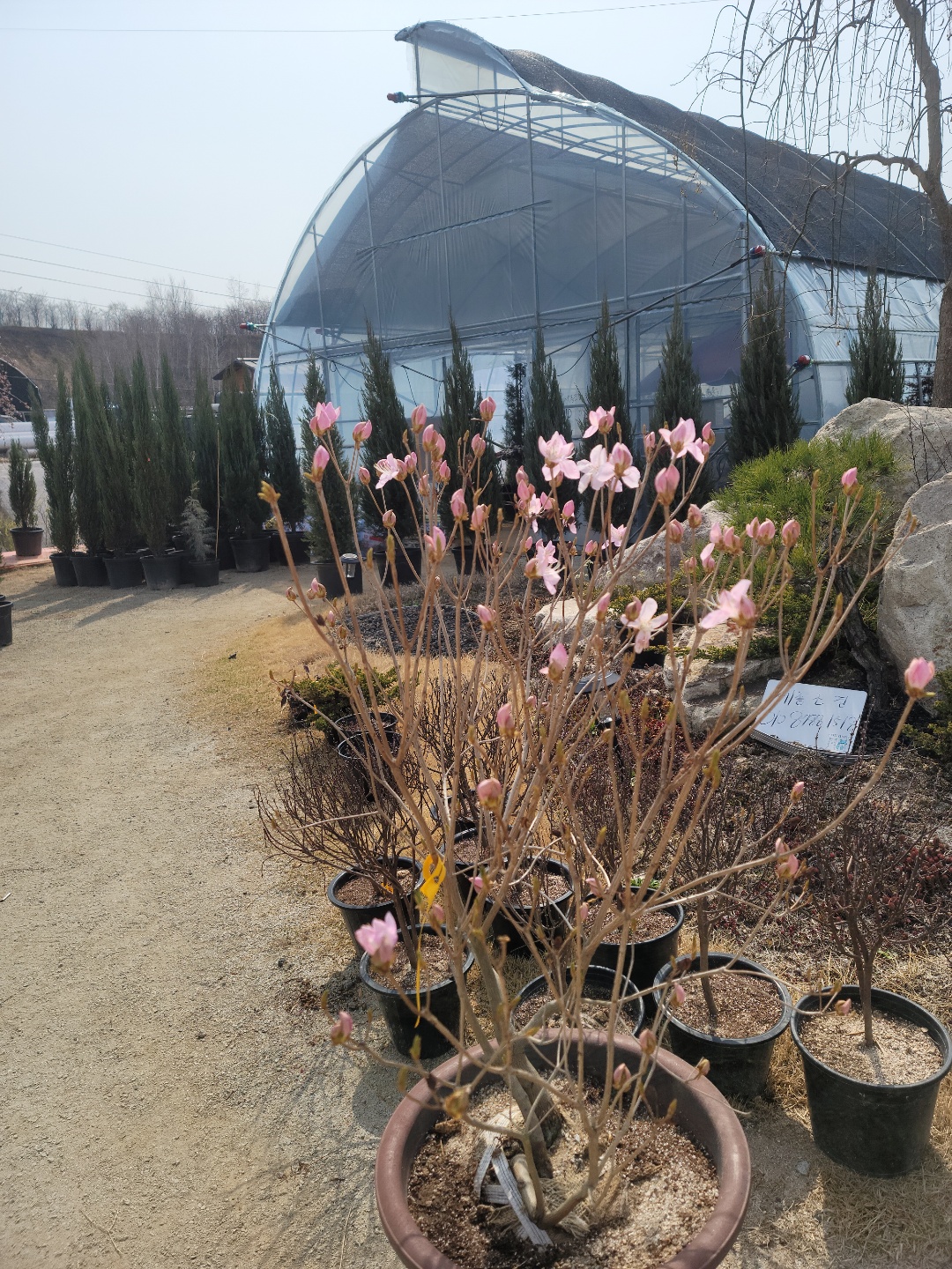 /user/0/01087881518/editor/2204/cba90b4ffc9ef750f7726b4bd66c0838_1650255940_0197.jpg 이미지크게보기