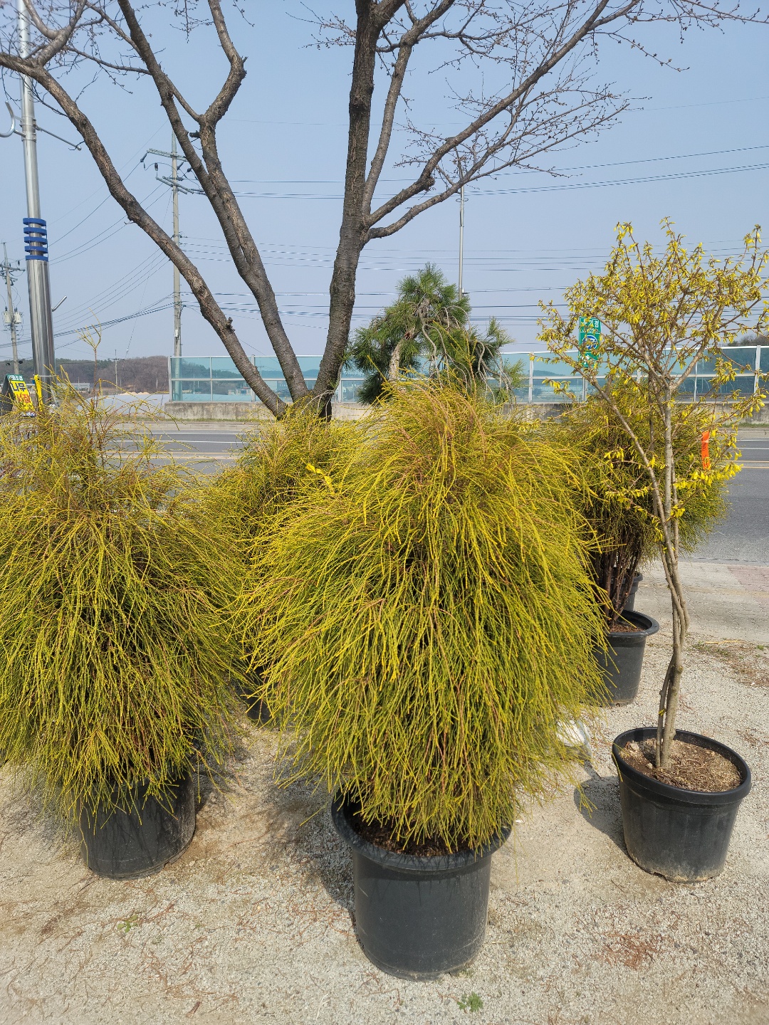/user/0/01087881518/editor/2204/cba90b4ffc9ef750f7726b4bd66c0838_1650255950_0874.jpg 이미지크게보기