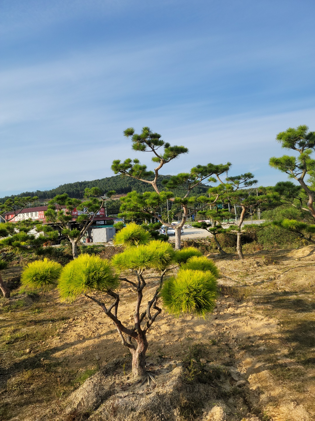 /user/0/01087881518/editor/2209/6d83ecc2b0381aa611e0f96174802fbc_1664351987_9779.jpg 이미지크게보기