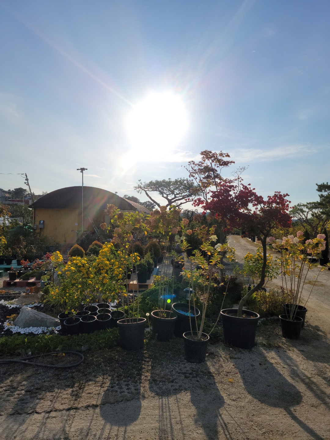 /user/0/01087881518/editor/2209/6d83ecc2b0381aa611e0f96174802fbc_1664352140_2709.jpg 이미지크게보기