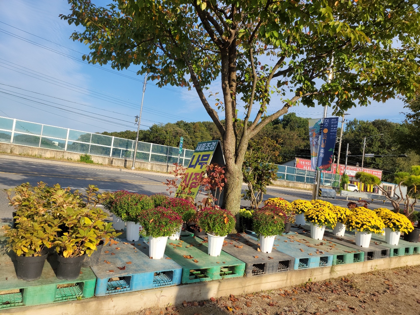 /user/0/01087881518/editor/2209/6d83ecc2b0381aa611e0f96174802fbc_1664352166_5747.jpg 이미지크게보기