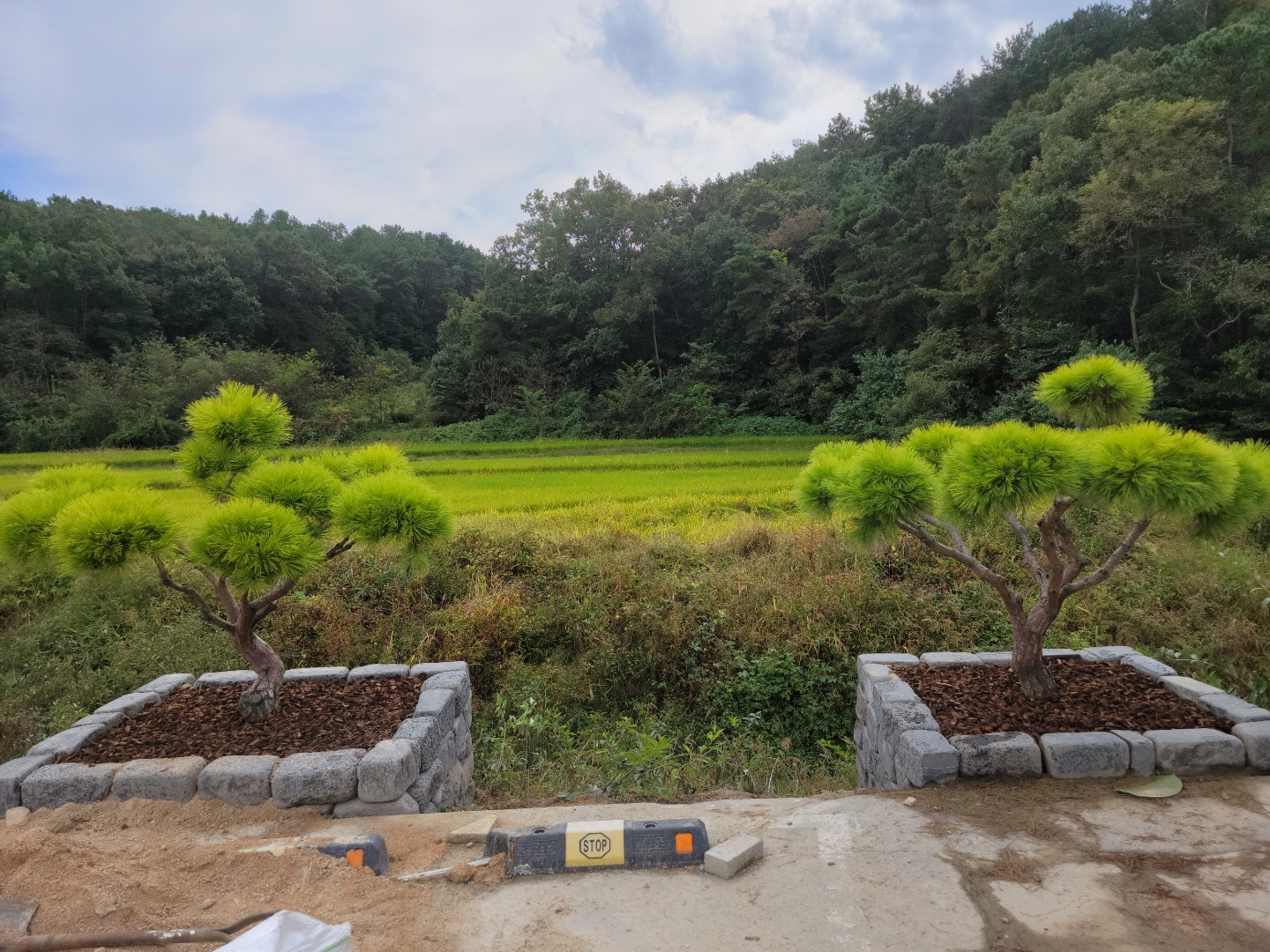 /user/0/01087881518/editor/2209/6d83ecc2b0381aa611e0f96174802fbc_1664352314_4688.jpg 이미지크게보기