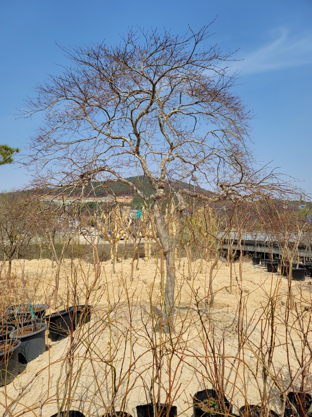 /user/0/01087881518/editor/2303/59f6198601a831036f5394d3e9bd658d_1680068004_1274.jpg 이미지크게보기