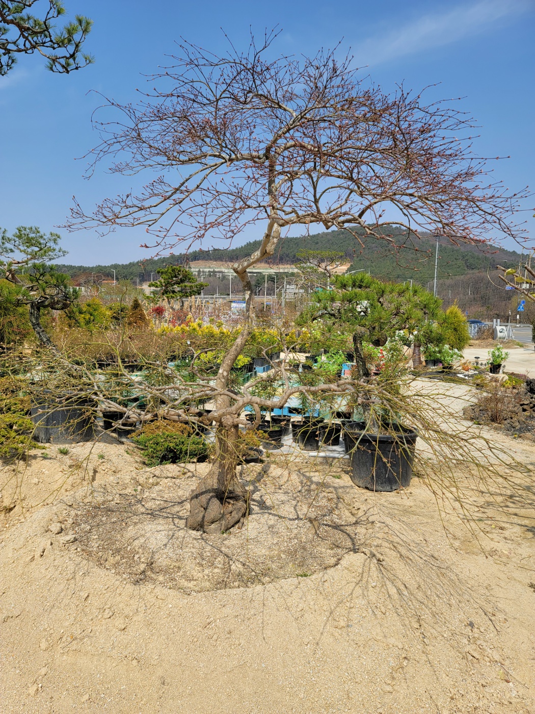 /user/0/01087881518/editor/2303/59f6198601a831036f5394d3e9bd658d_1680068012_9988.jpg 이미지크게보기