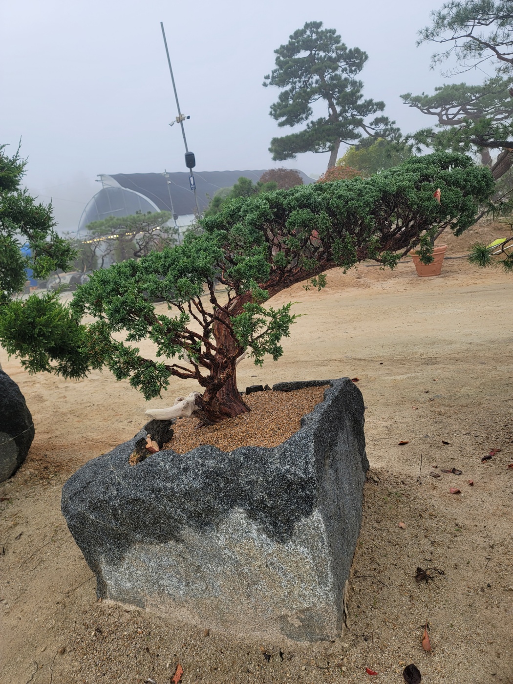 /user/0/01087881518/editor/2410/2c35003190298a75df7e8103aa4a7df1_1728869182_225.jpg 이미지크게보기