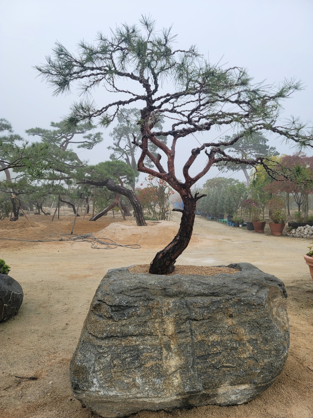 /user/0/01087881518/editor/2410/2c35003190298a75df7e8103aa4a7df1_1728869220_3701.jpg 이미지크게보기