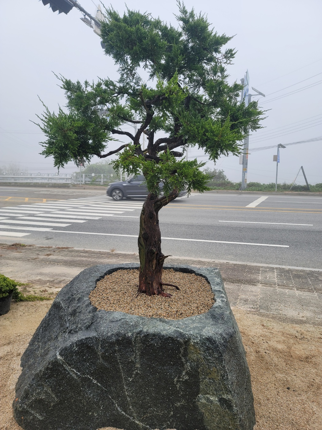 /user/0/01087881518/editor/2410/2c35003190298a75df7e8103aa4a7df1_1728869257_5254.jpg 이미지크게보기