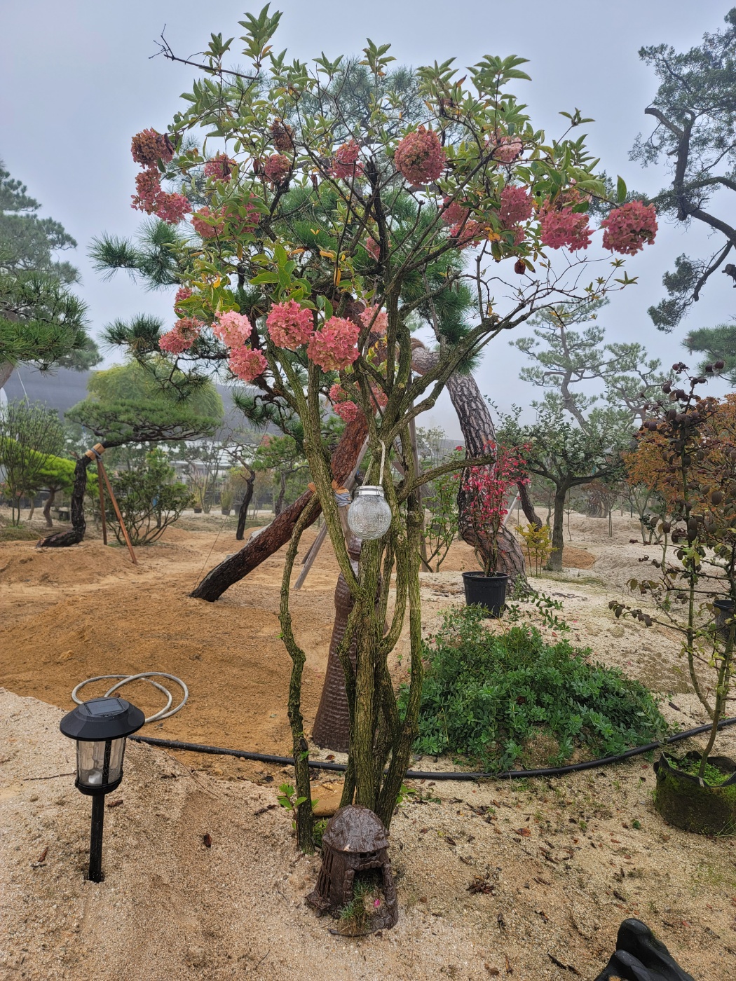 /user/0/01087881518/editor/2410/2c35003190298a75df7e8103aa4a7df1_1728869335_7204.jpg 이미지크게보기