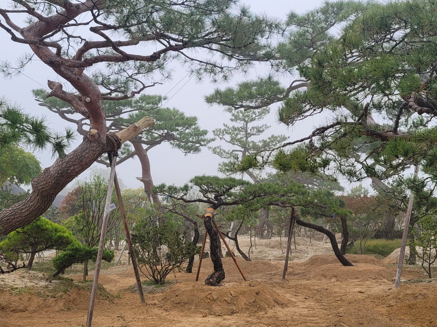 /user/0/01087881518/editor/2410/2c35003190298a75df7e8103aa4a7df1_1728869389_2997.jpg 이미지크게보기