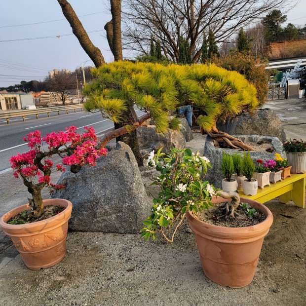 세종조경농원