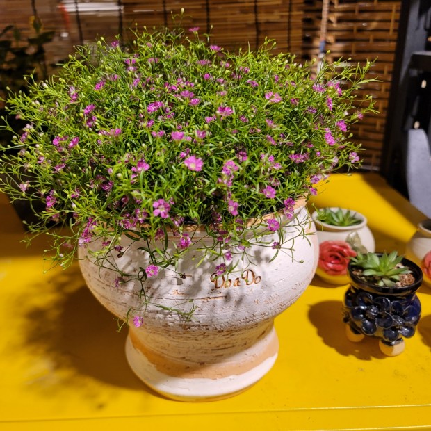 세종조경농원