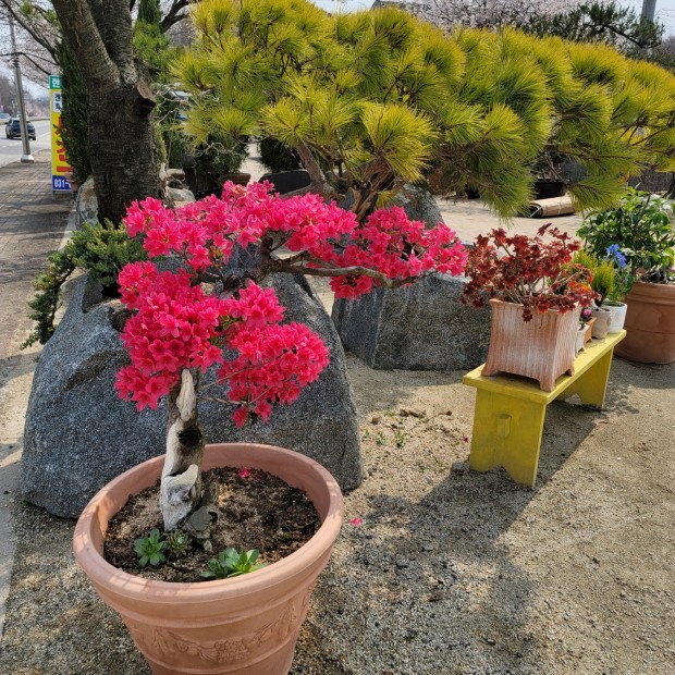 세종조경농원