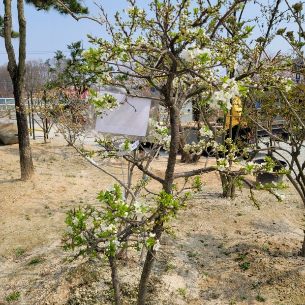 세종조경농원