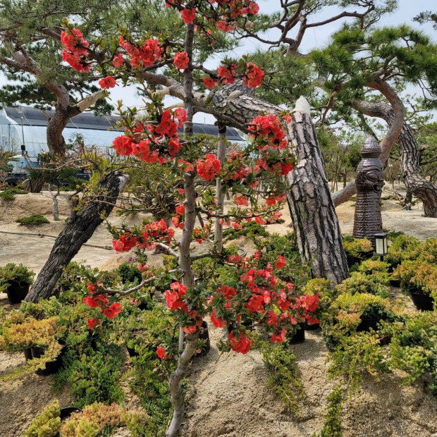 세종조경농원