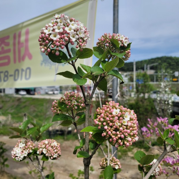 세종조경농원