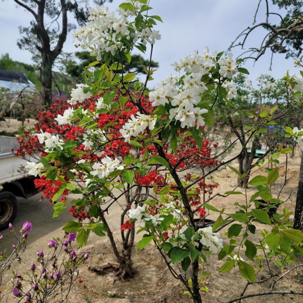 세종조경농원