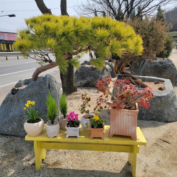 세종조경농원