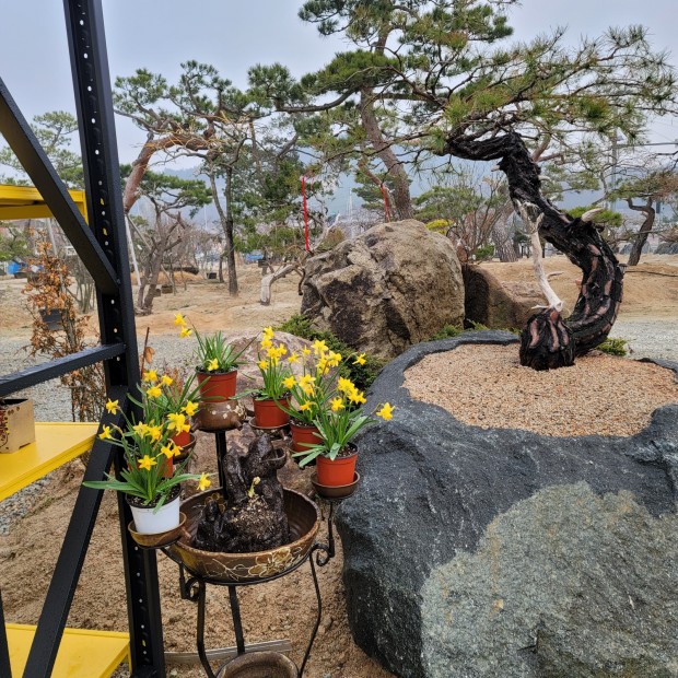 세종조경농원